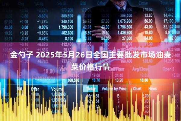 金勺子 2025年5月26日全国主要批发市场油麦菜价格行情