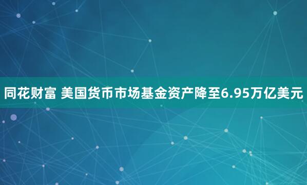 同花财富 美国货币市场基金资产降至6.95万亿美元